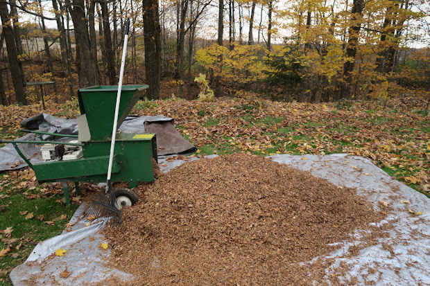 upland shredding leaves garden
