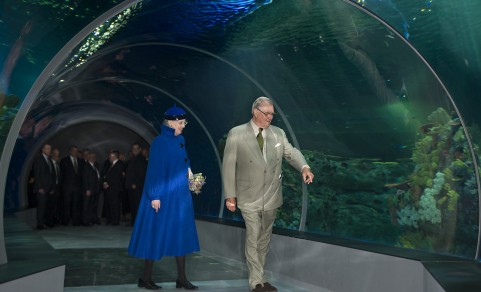 Monarchico Regina Inaugura Un Acquario