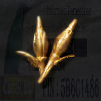 http://sembogo.blogspot.co.id/2016/03/azimat-asmak-kantil-kuning.html