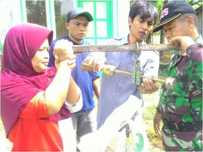 BABINSA PANTIREJO LAKSANAKAN UBINAN PANEN PADI MT II VARIETAS IR 64