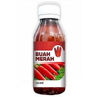 Buah Merah hpai - www.infojagakesehatan.blogspot.co.id - isman