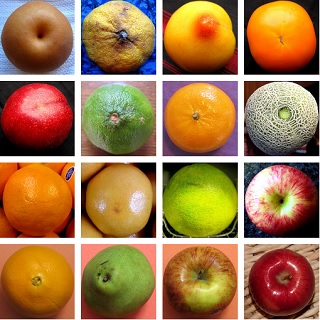 Image: uncut fruit, by Ugly Duckling's (im_an_ugly_duckling) on Photobucket