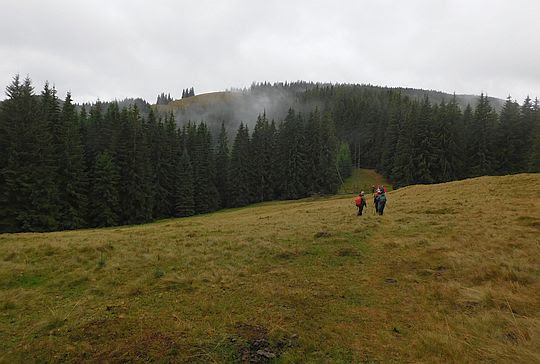 Przełęcz między Rotyło i Kedruvatyi (ukr. Кедруватий; 1247 m n.p.m.). Przełęcz między Rotyło i Kedruvatyi (ukr. Кедруватий; 1247 m n.p.m.).