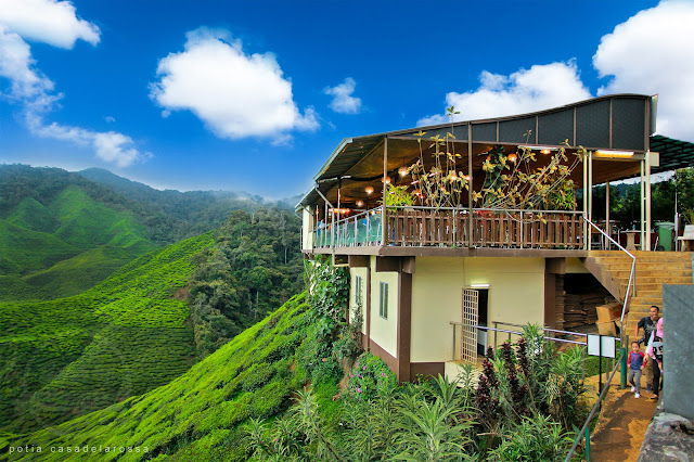 Cameron Valley, Tea House (BOH Plantation), Cameron Highlands, Pahang Cameron Valley, Tea House (BOH Plantation), Cameron Highlands, Pahang
