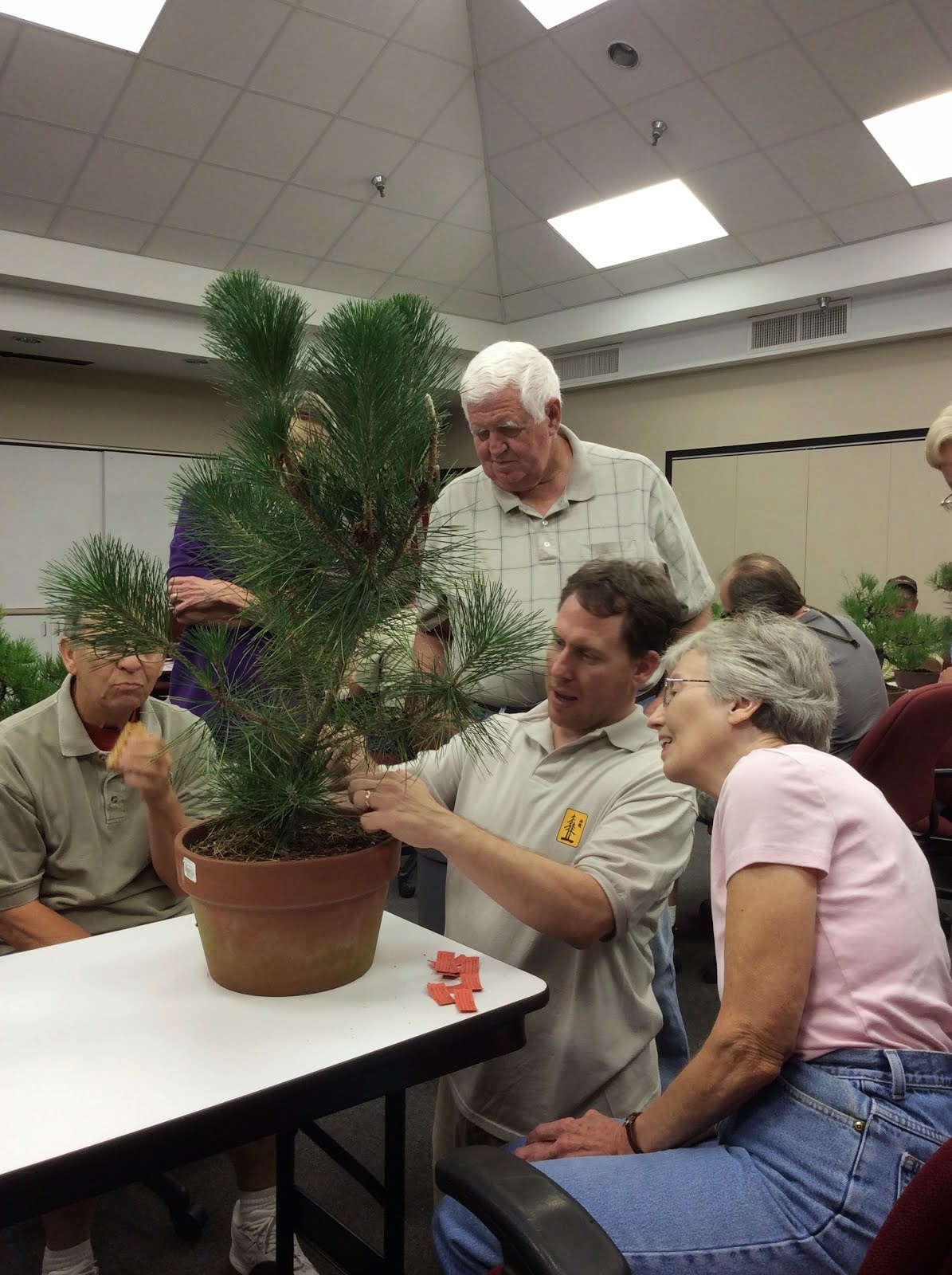 Gulf Coast Bonsai Foundation Broadleaf Bonsai Continuing Education