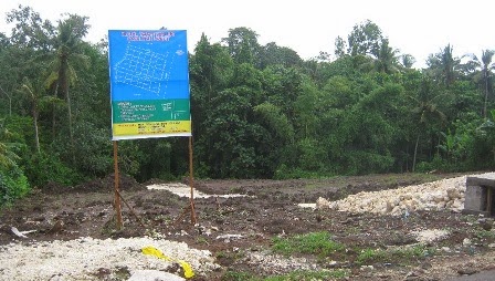 Tekan Alih Fungsi Lahan, Tabanan Perketat Pengkavlingan Tanah