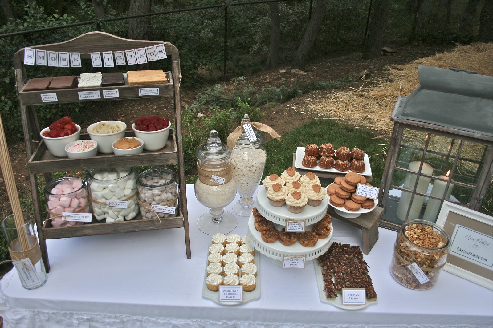 fall-party-idea-chili-under-the-oaks-bloom-designs