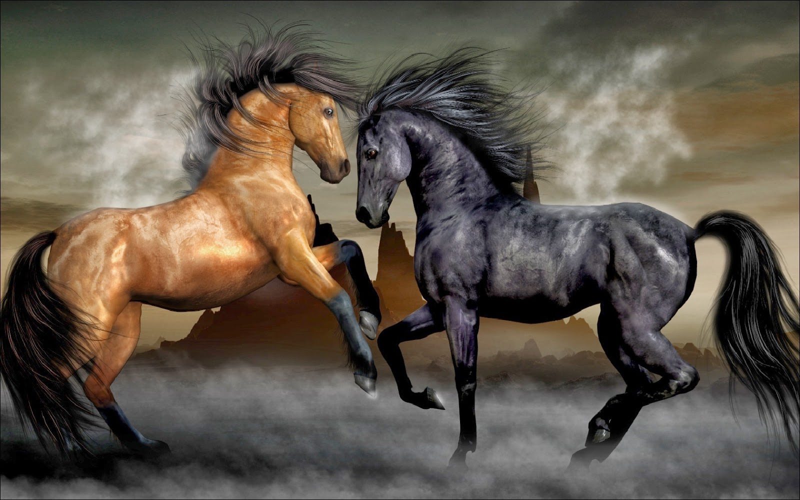 paarden-achtergrond-met-bruin-en-zwart-paard.jpg