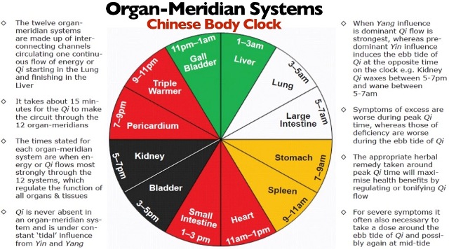 The Chinese Clock Does Not Make Mistakes – Discover Which Organ In Your