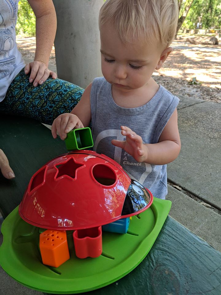 Edushape Ladybug Shape Sorter Toys Enhancing and Encouraging Our