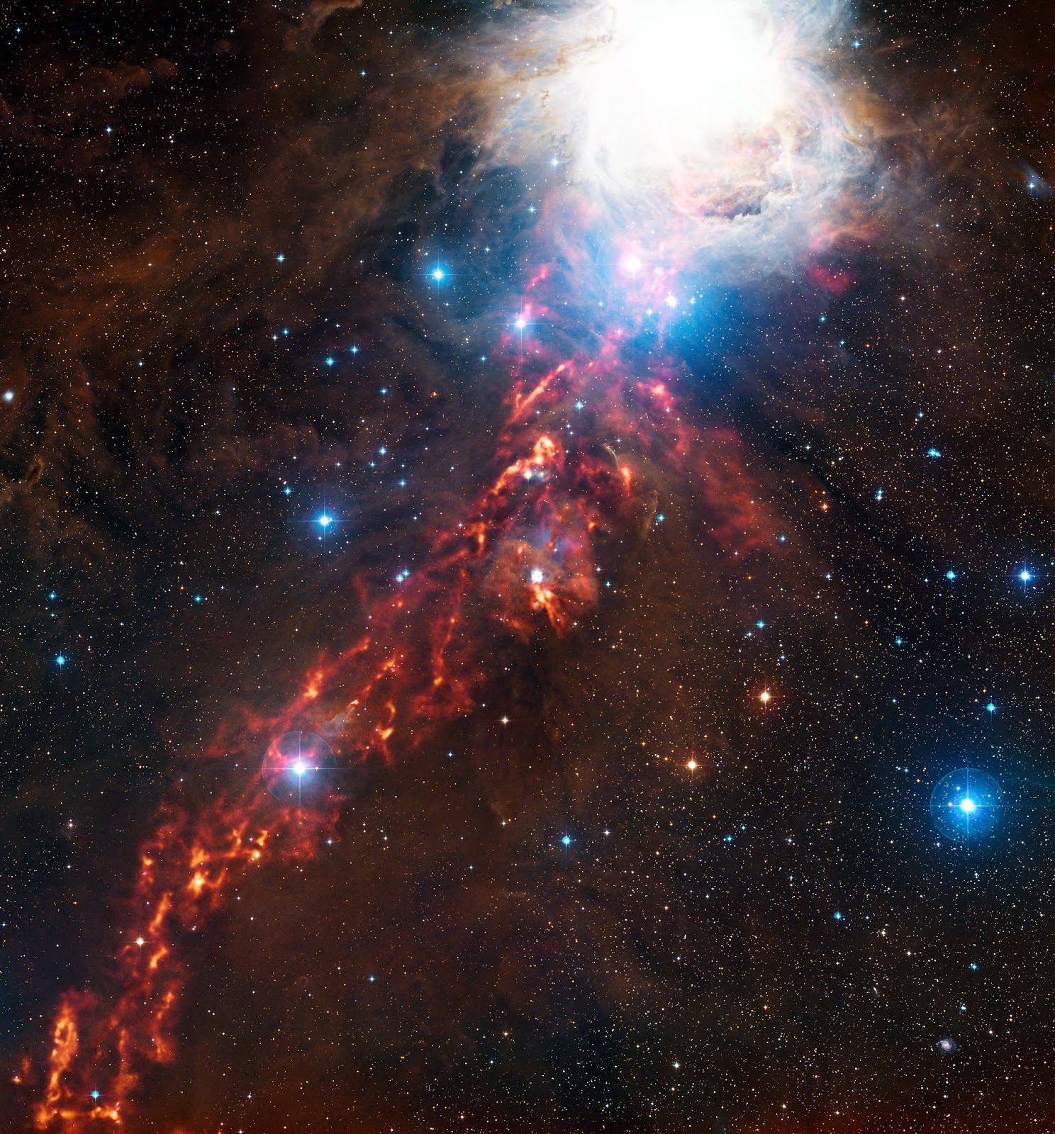 Star Formation in the Orion Nebula