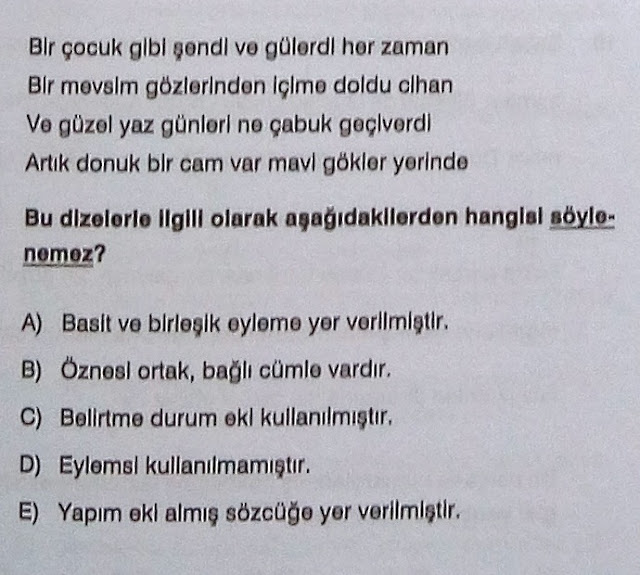 Resim