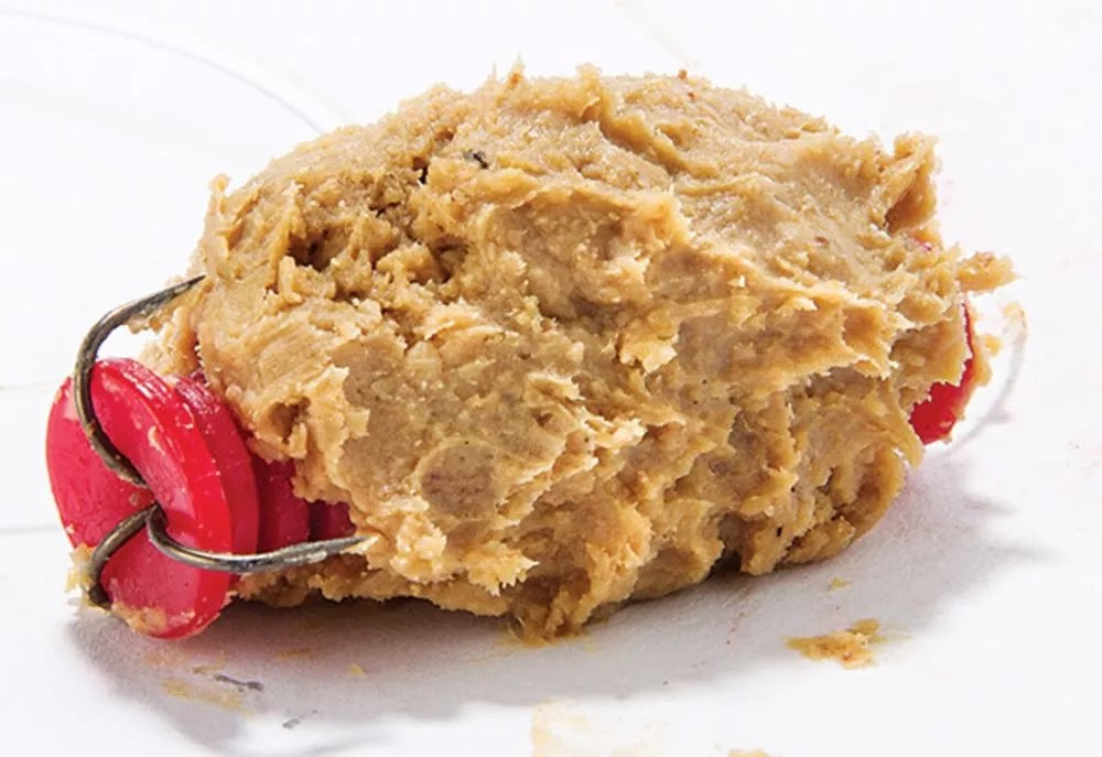 The Urban Sportsman Top Baits For Catching Channel Catfish