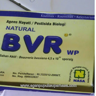 www.agenpupuksupernasa.com jual bvr murah
