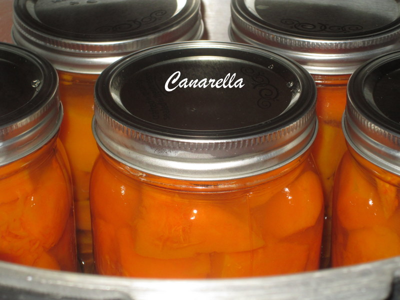 Canarella Pressure Canning Butternut Squash