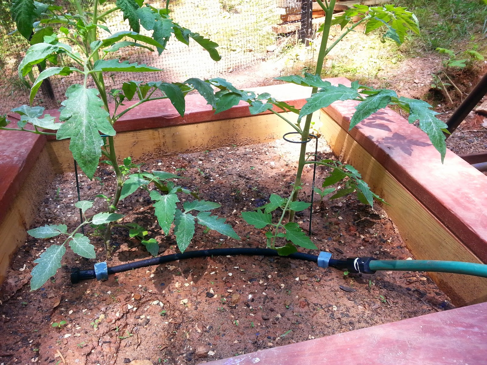[Insert Something Creative] DIY Soaker Hose Irrigation