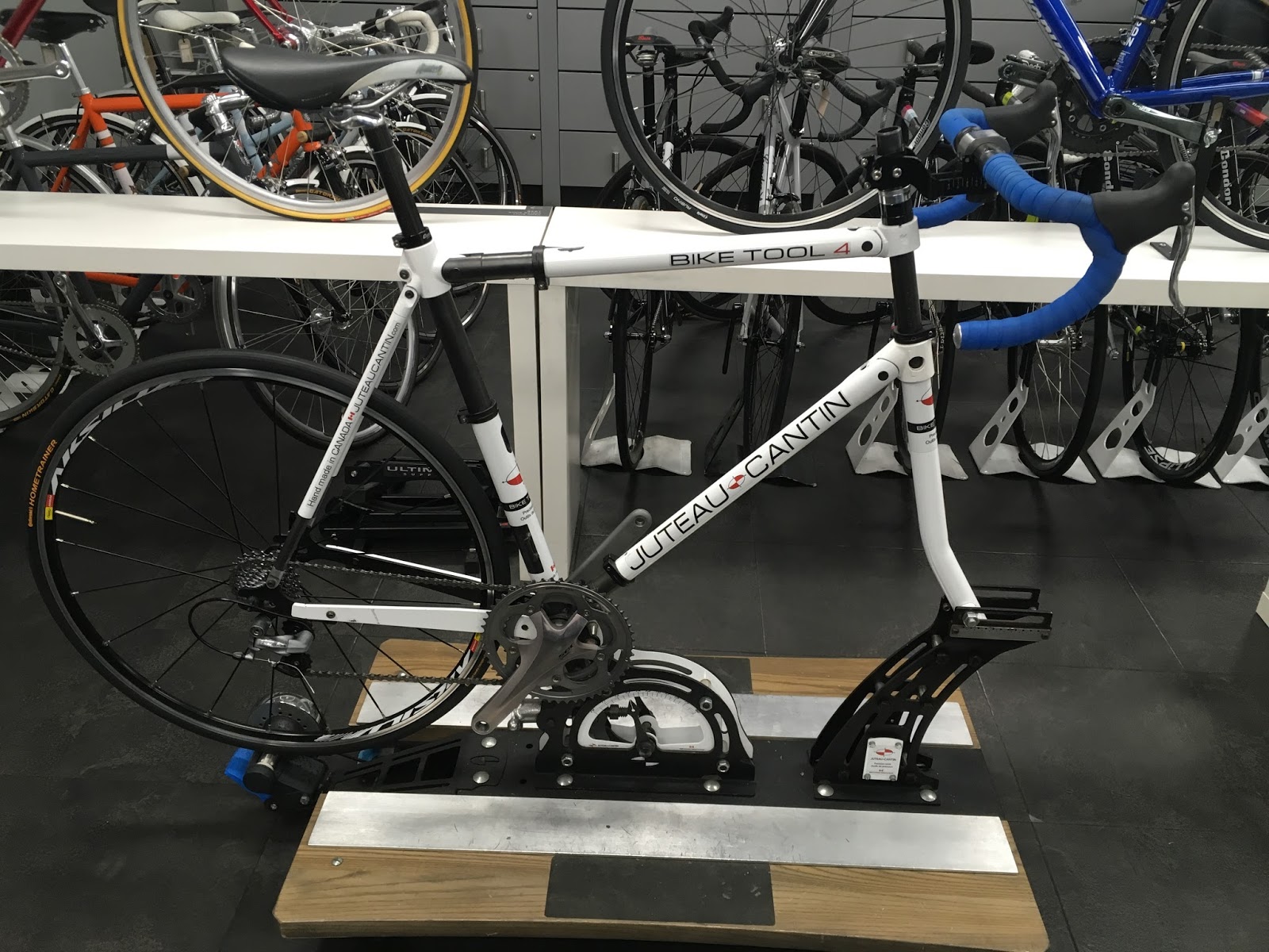 condor bike fit