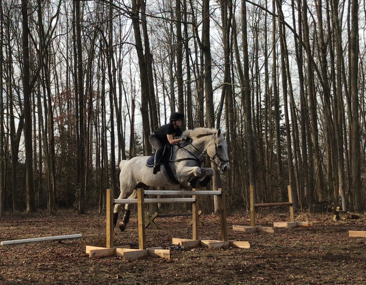 The Jumping Percheron: February 2017