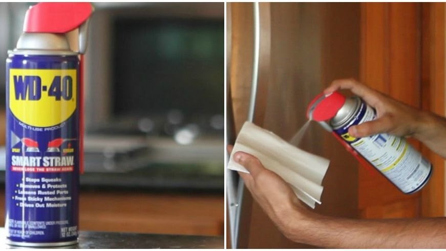 Carpet Cleaning Fastest Way To Clean Your House Carpet Cleaning Fastest Way To Clean Your House