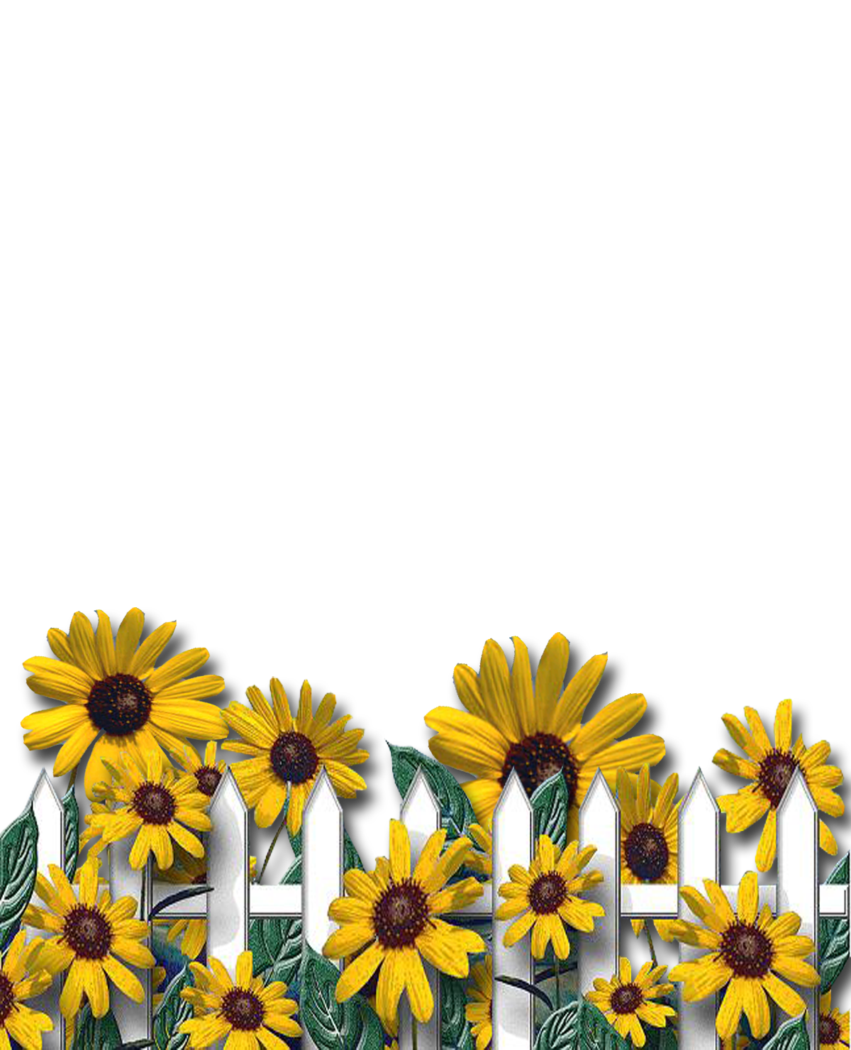 GRANNY ENCHANTED'S BLOG: Free Plaid Sunflower Digi ...