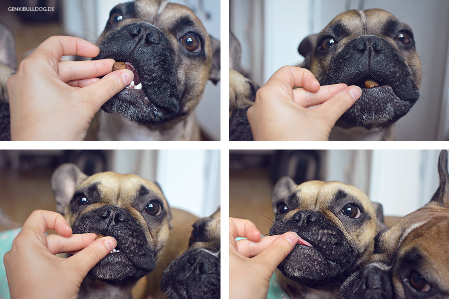 Rezept: Lunge-Apfel Kugeln für Hunde backen Rezept: Lunge-Apfel Kugeln für Hunde backen