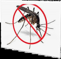 Remove The Mosquito In 30 Seconds (৩০ সেকেন্ডে মশারি অপসারণ করুন ) Mosquito,Remove,30 Seconds,মশা,দূর করুন,৩০ সেকেন্ডেই,Coil,Spray.mosquito,Remove The Mosquito In 30 Seconds,Remove The Mosquito In 30 Seconds,knowledge,Remove The Mosquito In 30 Seconds, 30 সেকেন্ডে মশারি অপসারণ করুন