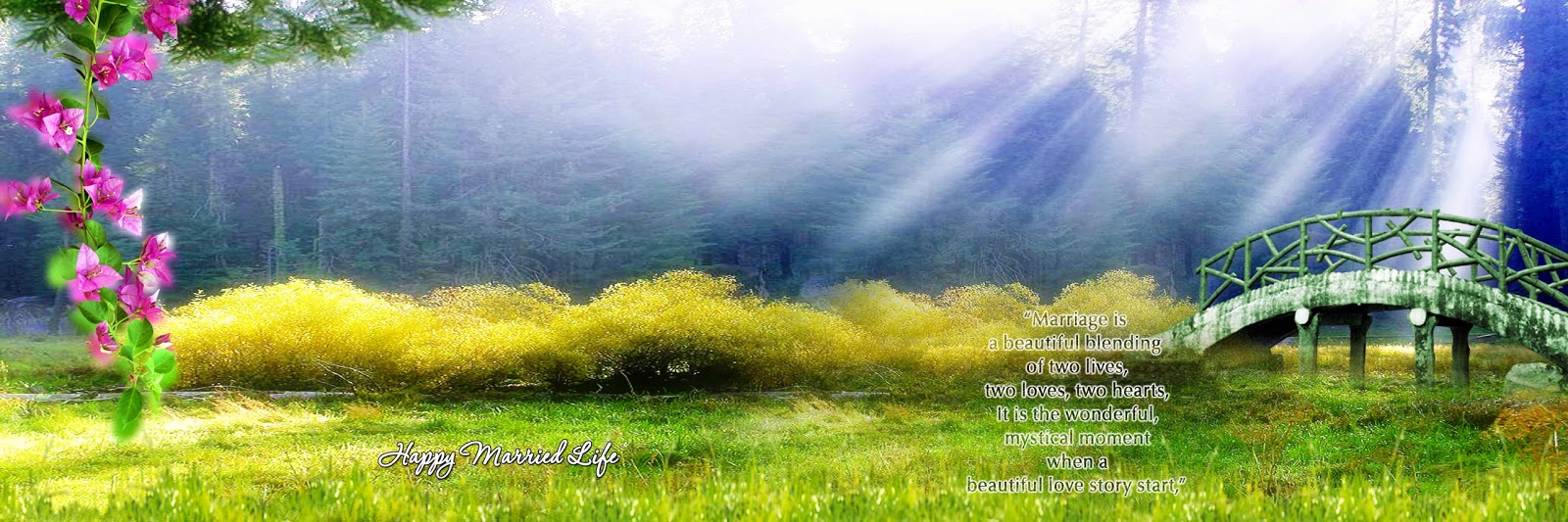 12x36 Album PSD File Free Download Naveengfx