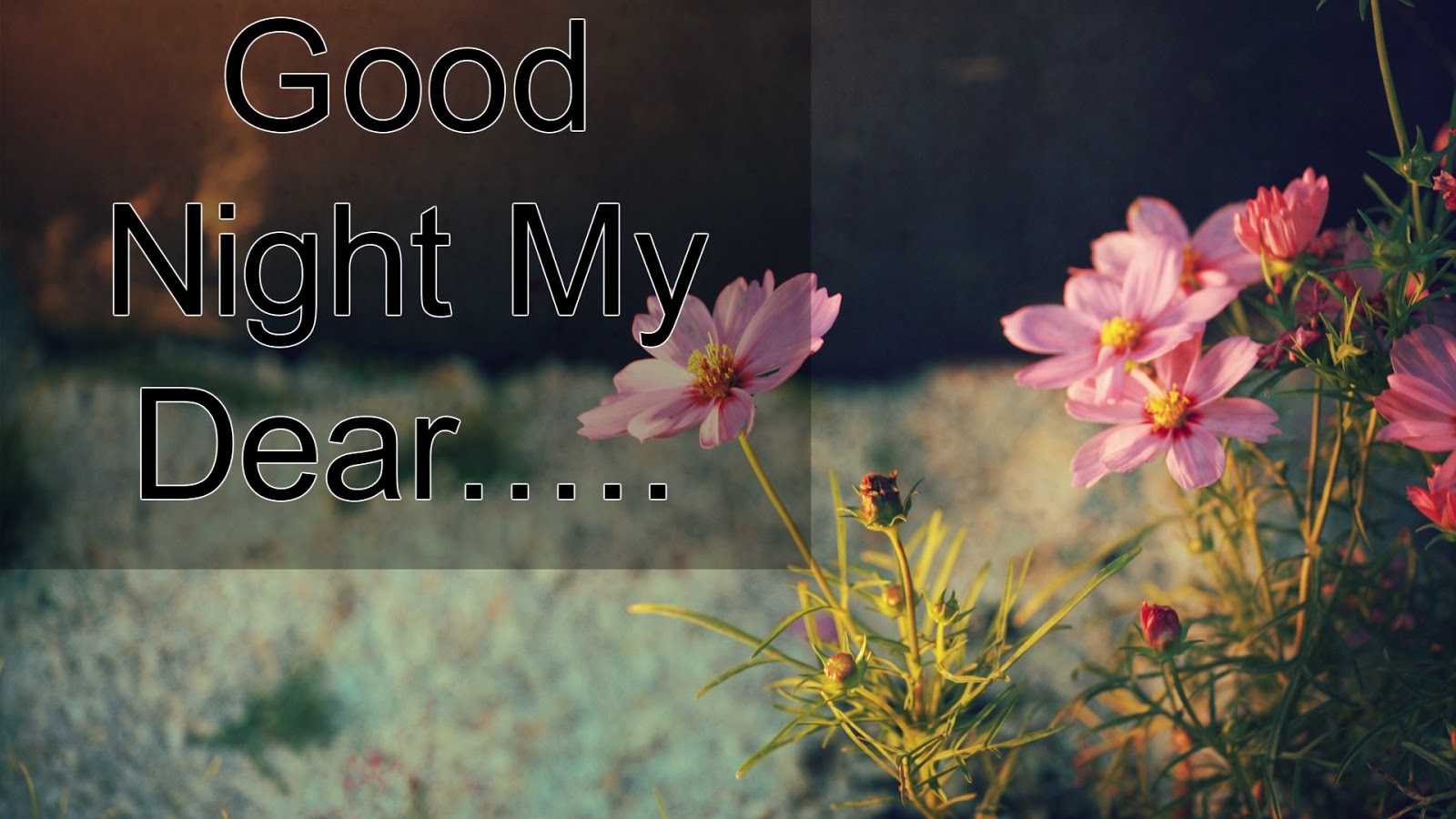 10+ Lovely Good Night Pictures Good Night