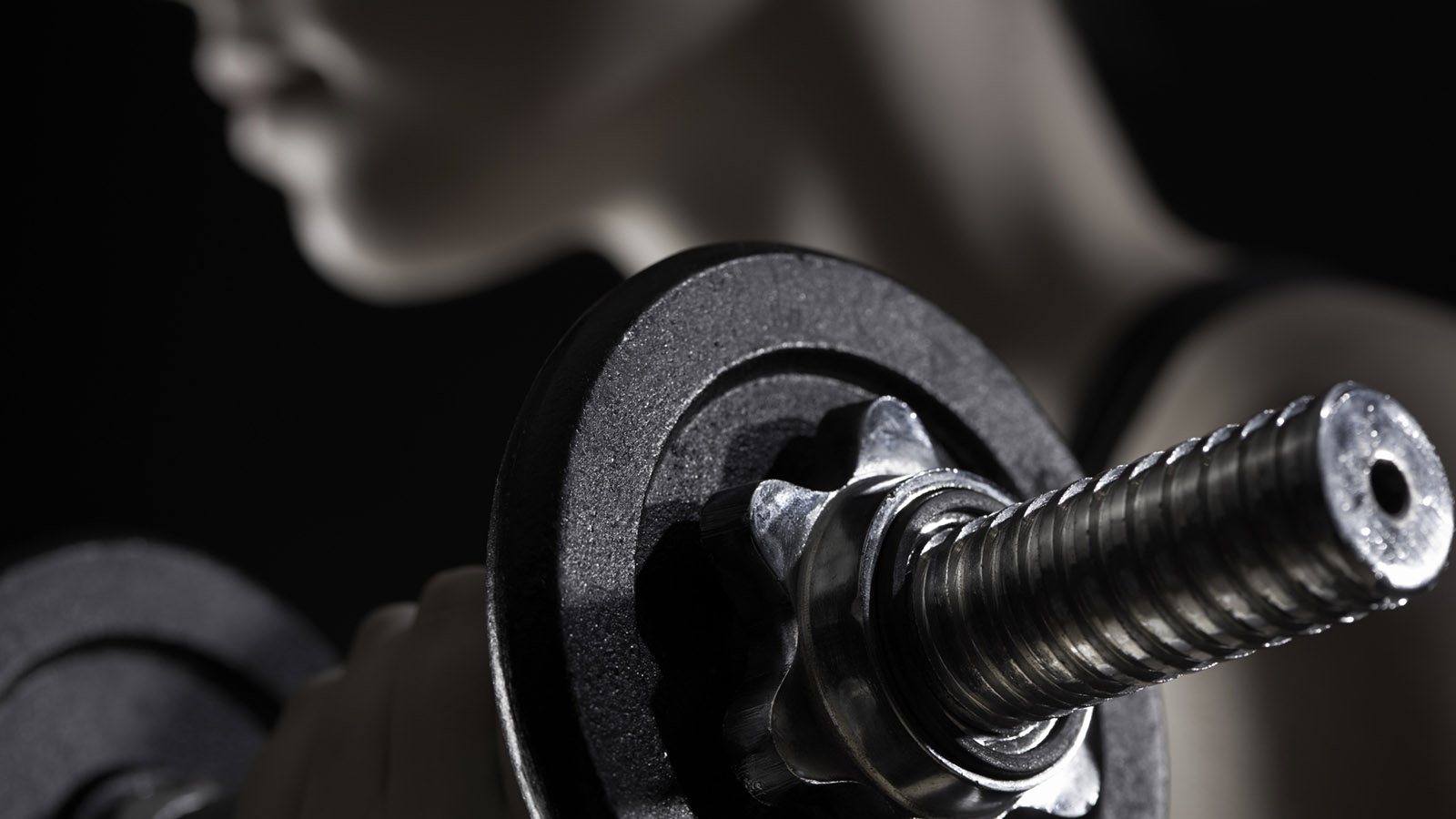 Buy Online Gym Equipment Choose Perfect Quality Gym Equipment in