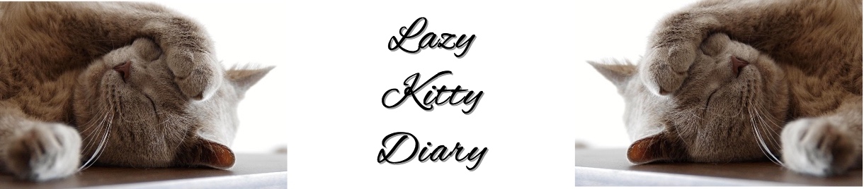 Lazy Kitty Diary