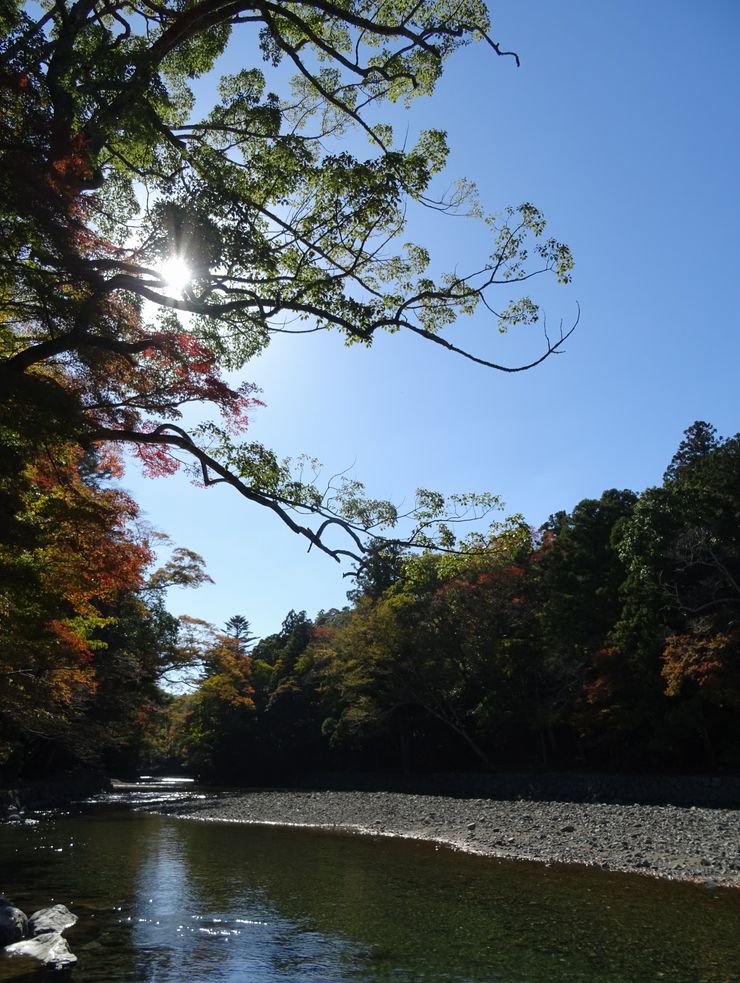 写真帳 旅の風景 五十鈴川