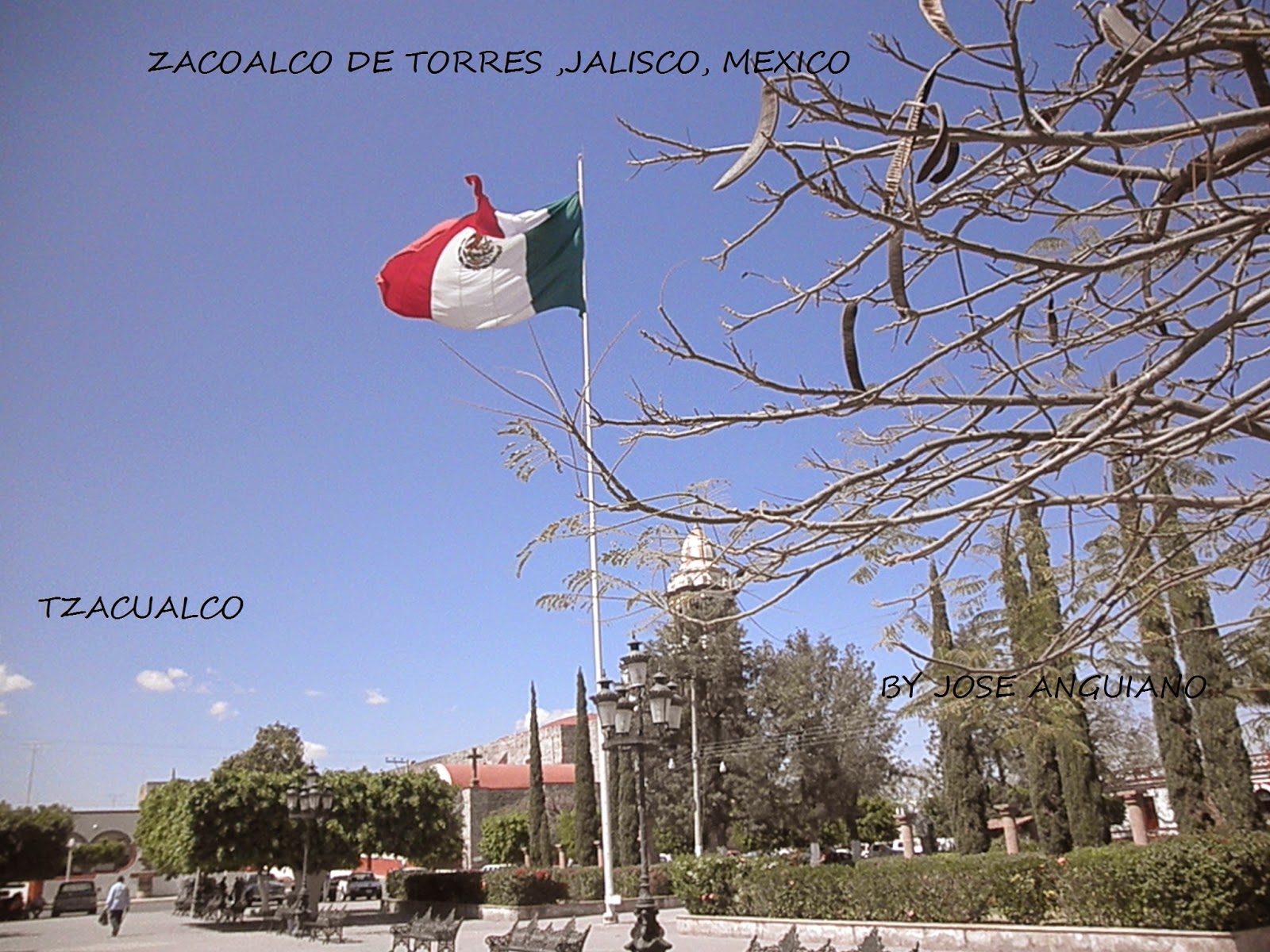 ZACOALCO DE TORRES JALISCO MEXICO ZACOALCO DE TORRES IMAGENES