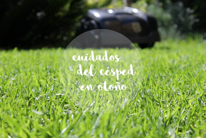 cesped en otoño Cuidar el césped