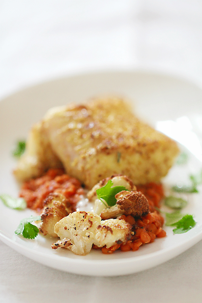 Rücken vom Skrei/Kabeljau-(Loin) auf roten Linsen mit geröstetem Blumenkohl | Arthurs Tochter kocht. Der Blog für Food, Wine, Travel & Love von Astrid Paul Rücken vom Skrei/Kabeljau-(Loin) auf roten Linsen mit geröstetem Blumenkohl | Arthurs Tochter kocht. Der Blog für Food, Wine, Travel & Love von Astrid Paul