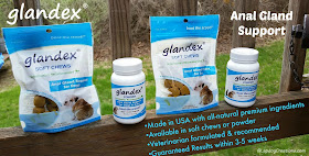 glandex cats dogs anal gland health