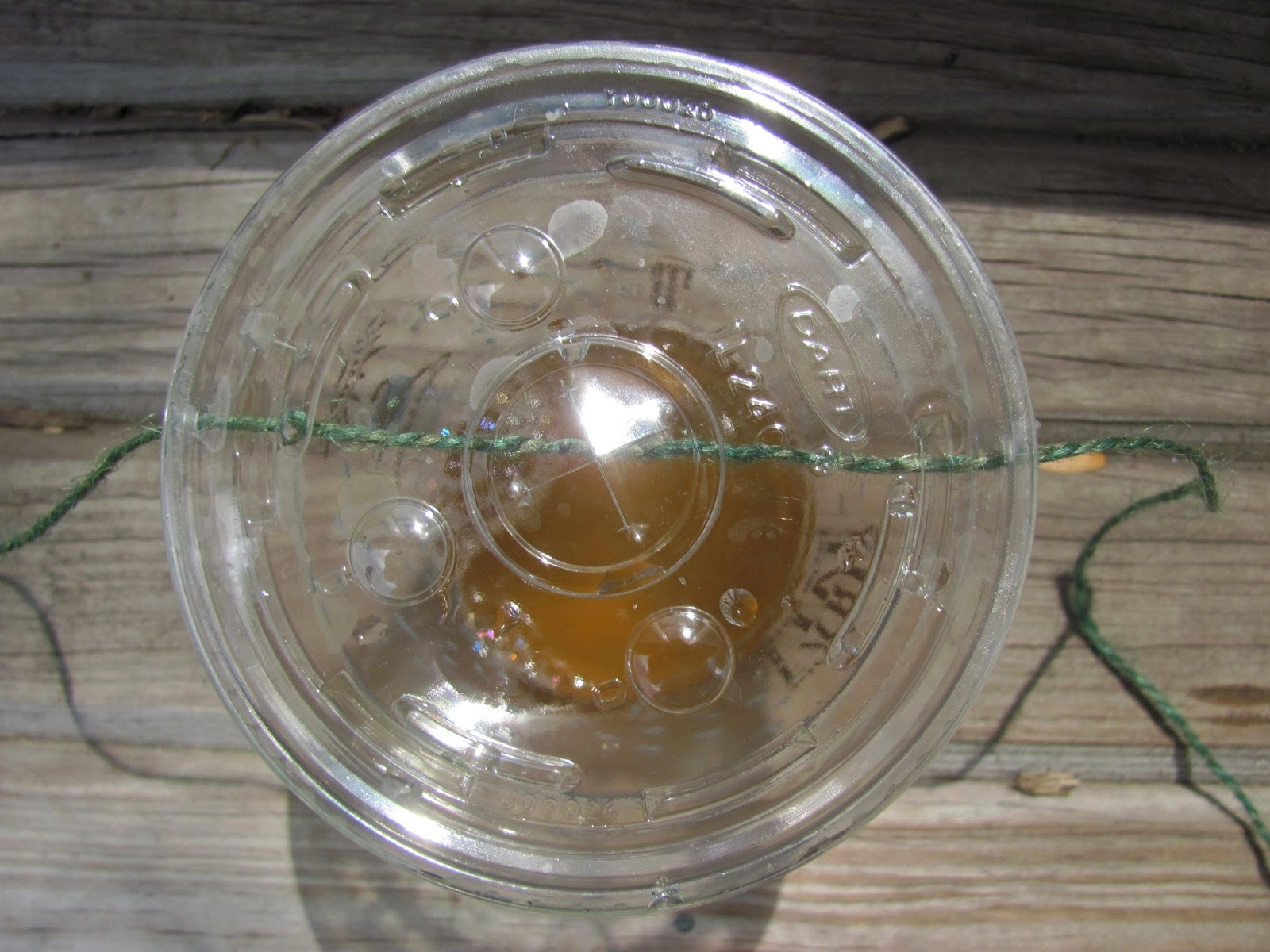 Sweet Domesticity Vinegar Fruit Fly Traps for the Raspberry Patch