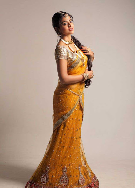 South India Famous Actress Shriya Awesome Saree Pics No Water Mark Beautiful Indian Actress