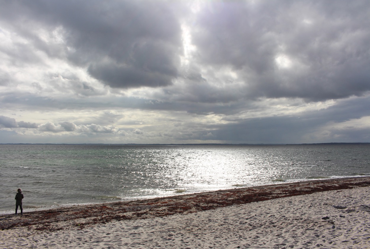 Dänemark: Südjütland. Strand auf Kegnaes Dänemark: Südjütland. Strand auf Kegnaes