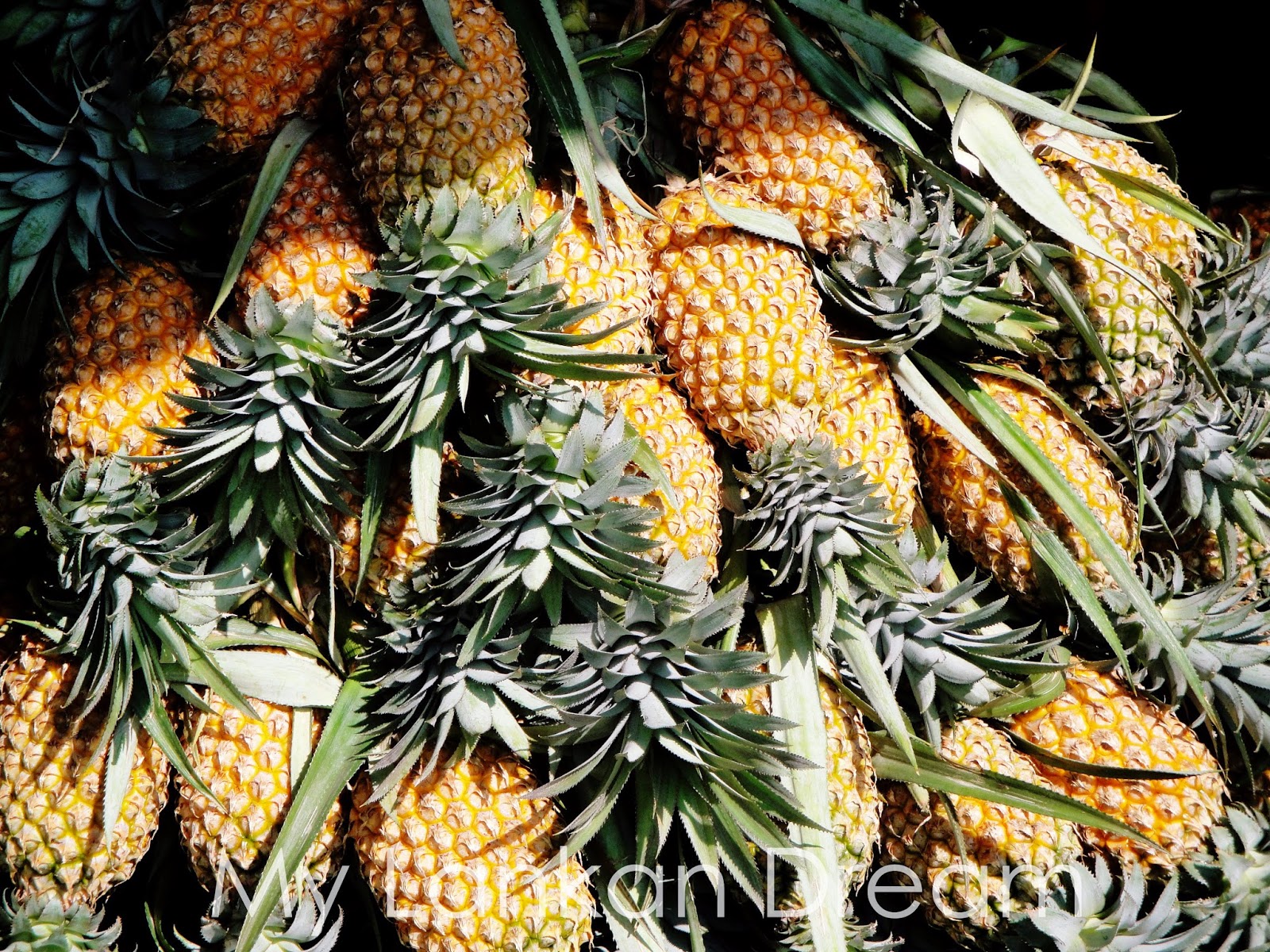 Sri Lankan Travel Blog: Top 10 fruits to try in Sri Lanka