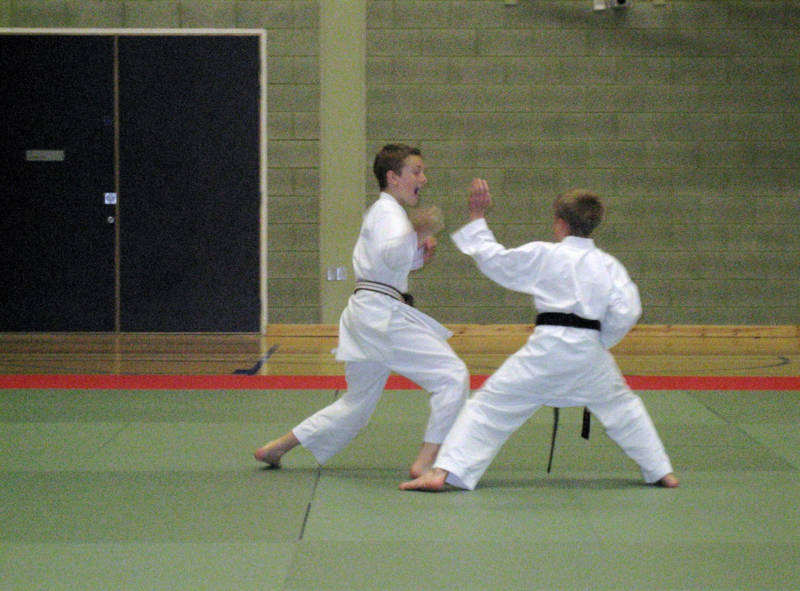 My journey to black belt: June 2012