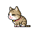Animasi Kucing Lucu