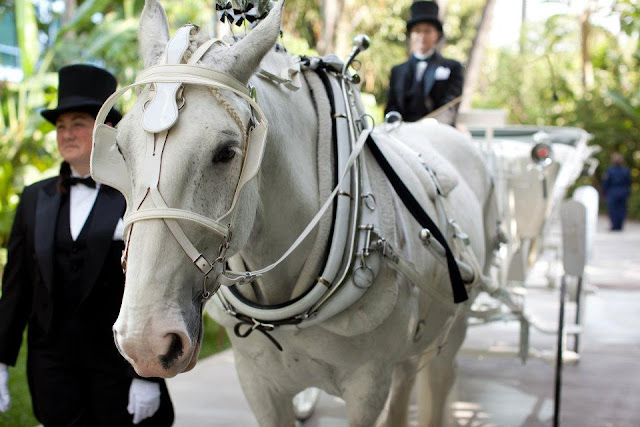 Real Disney Weddings - Brittney and Zack's Springtime Romantic Disneyland Hotel Wedding