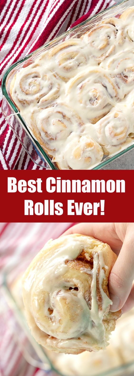 The Best Homemade Cinnamon Rolls Ever! The Best Homemade Cinnamon Rolls Ever!