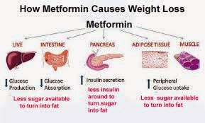metformin weight loss metformin weight loss