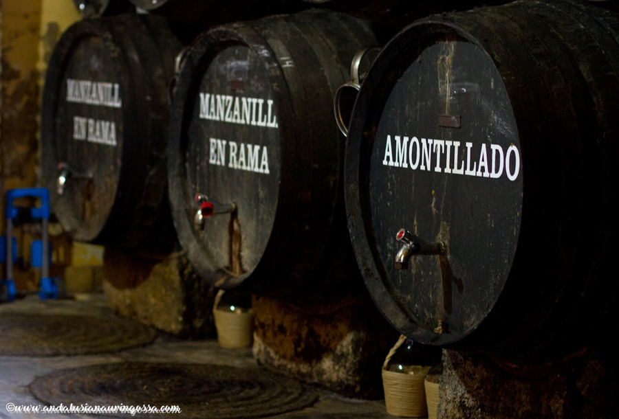 Andalusian auringossa_ruokablogi_viiniblogi_sherry_viinimaailman vaarinymmarretty suuruus