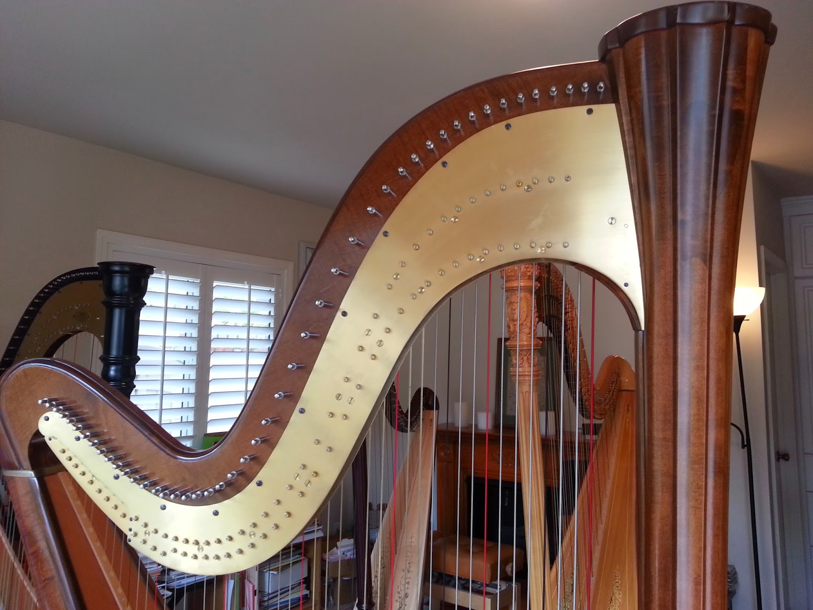 HARP IN LA HARP INFO 2 SALVI AURORA (47) PEDAL HARP 3968