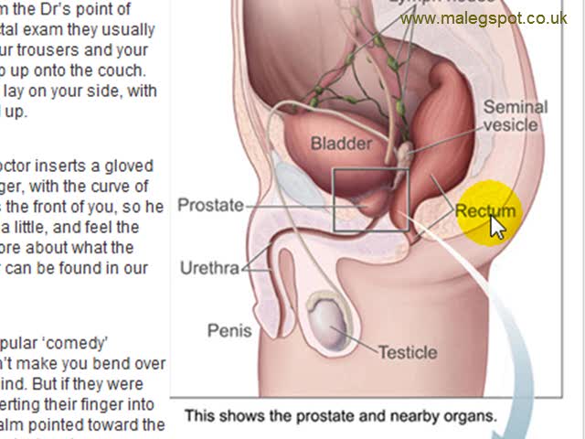 640px x 480px - Hot best sexual position for grafenberg spot cum shot ...