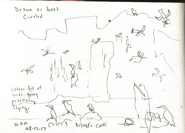 Nature S Sketchbook By Marjolein Bastin Address Book Nature S Sketchbook By Marjolein Bastin Address Book