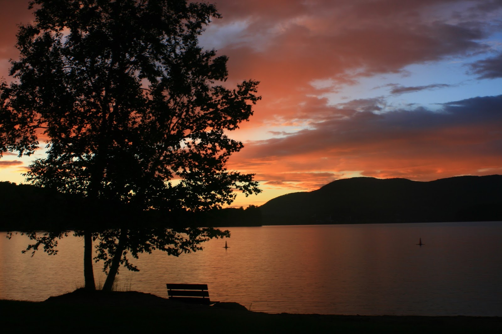 5 Best Vermont State Parks for Fall Camping