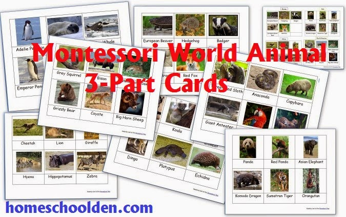 Montessori World Animal Cards